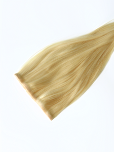 Light Pale Blonde Extension Set