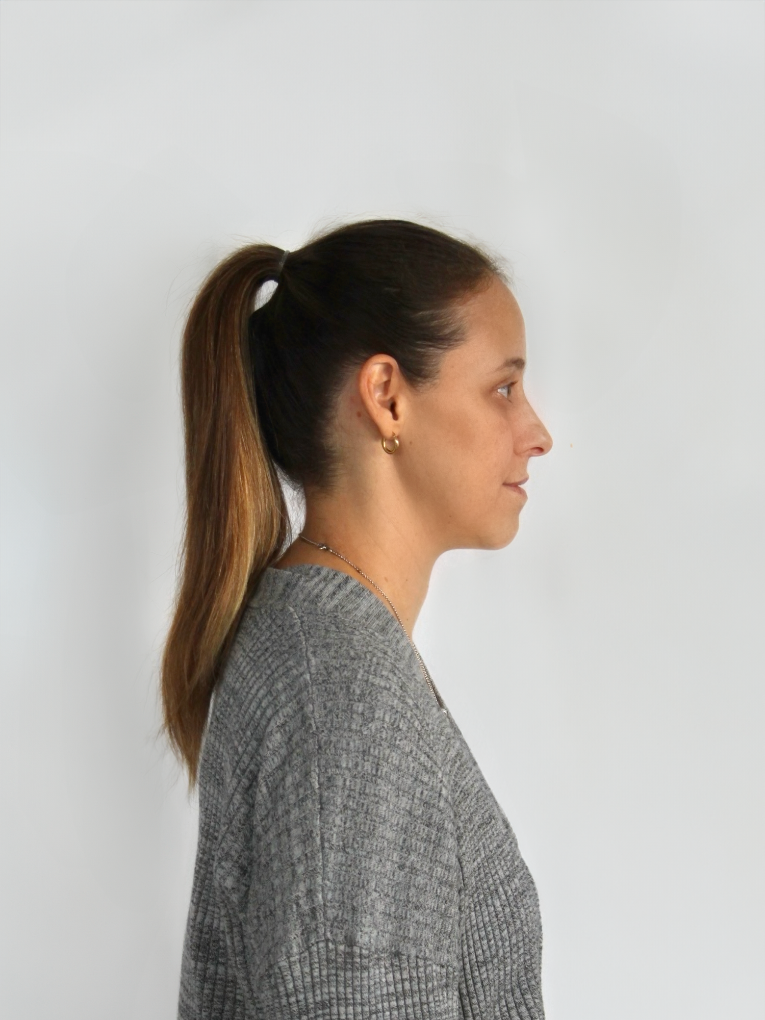 Light Ash Brown Ponytail