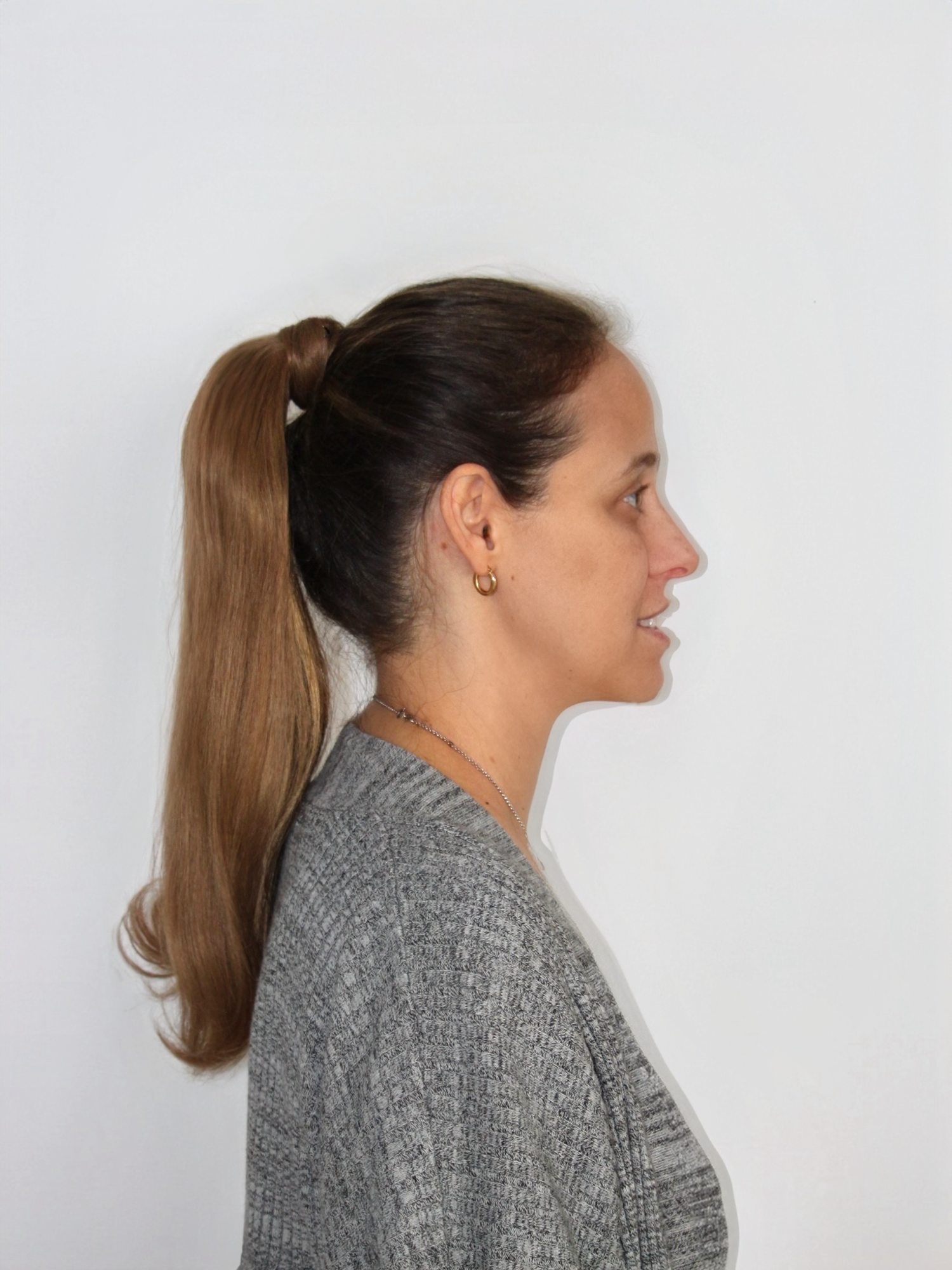 Light Ash Brown Ponytail