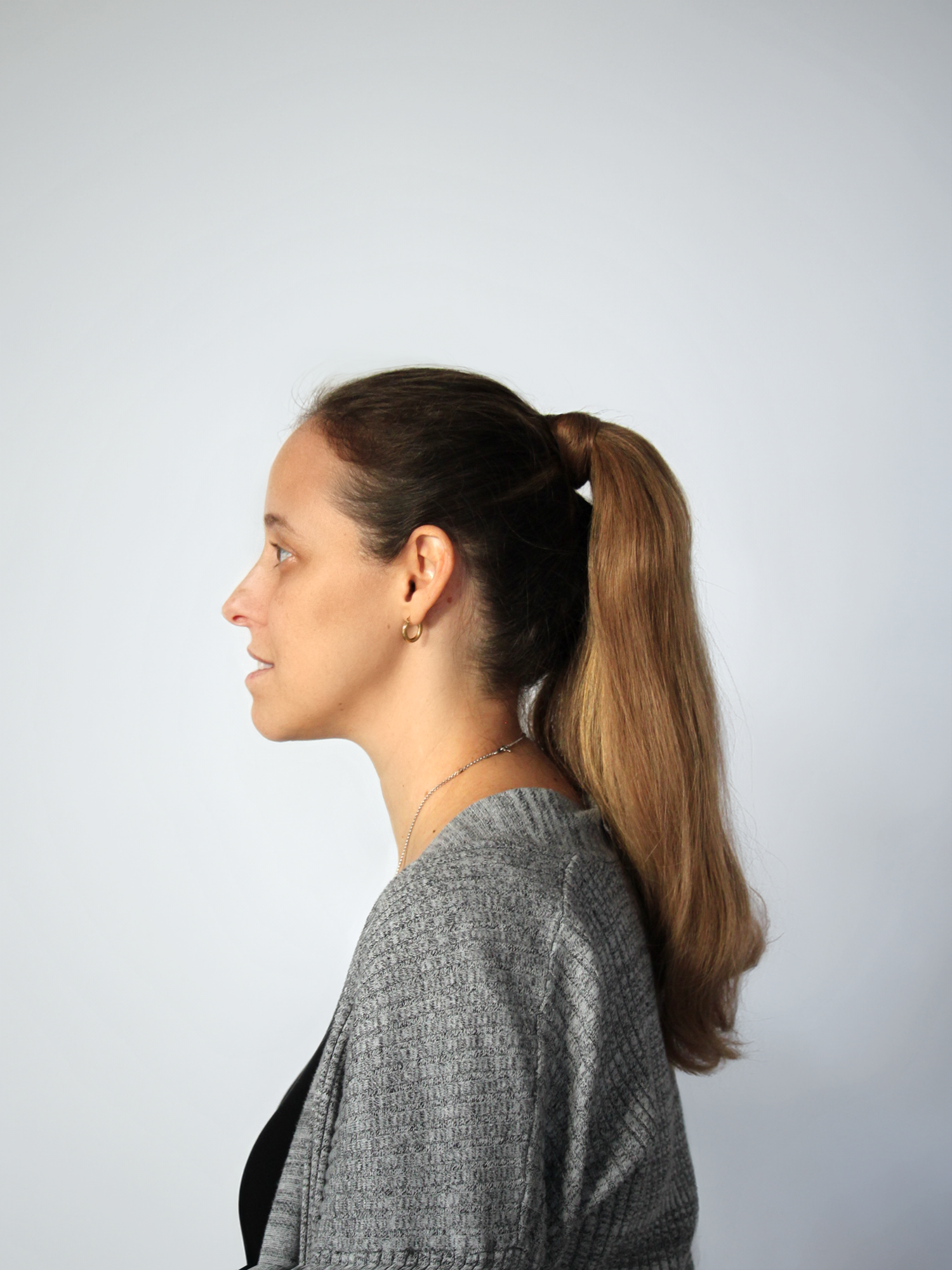 Light Ash Brown Ponytail